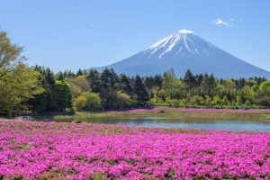 富士宮の風景
